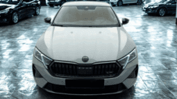 
										Skoda Octavia RS 265 KM pełne									