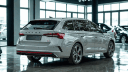 
										Skoda Octavia Combi RS 265 KM pełne									