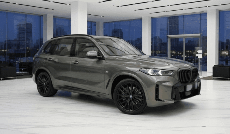 
								BMW X5 xDrive30d – 3.0L TwinPower Turbo Diesel, 298 KM, xDrive pełne									