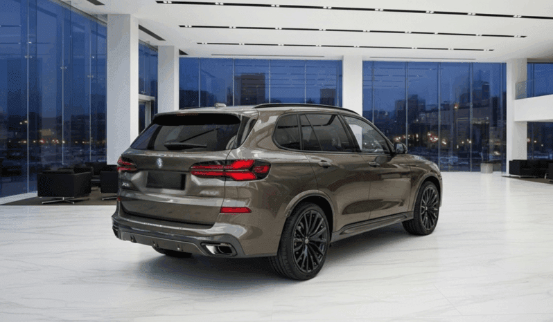 
								BMW X5 xDrive30d – 3.0L TwinPower Turbo Diesel, 298 KM, xDrive pełne									