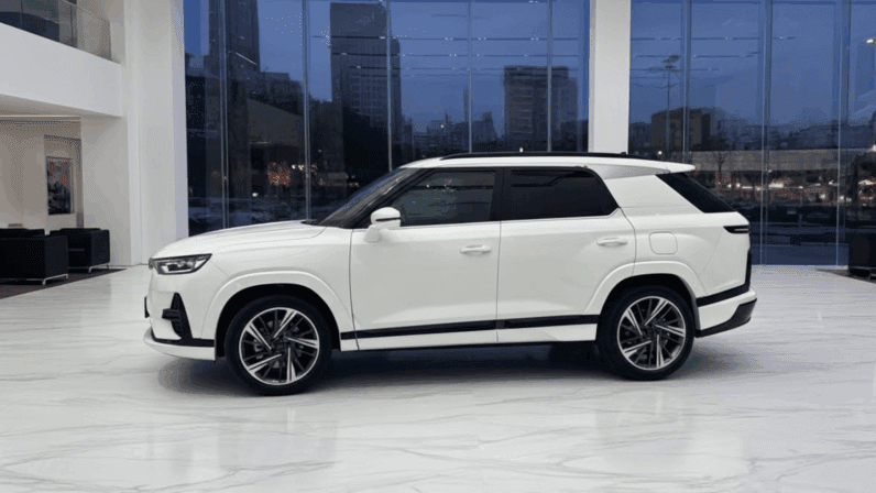 
								KGM Actyon Joy 2025 | 1.5 Turbo 163 KM | Automat | Skóra | 20″ Felgi | Pakiet Safety pełne									