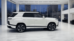 
										KGM Actyon Joy 2025 | 1.5 Turbo 163 KM | Automat | Skóra | 20″ Felgi | Pakiet Safety pełne									